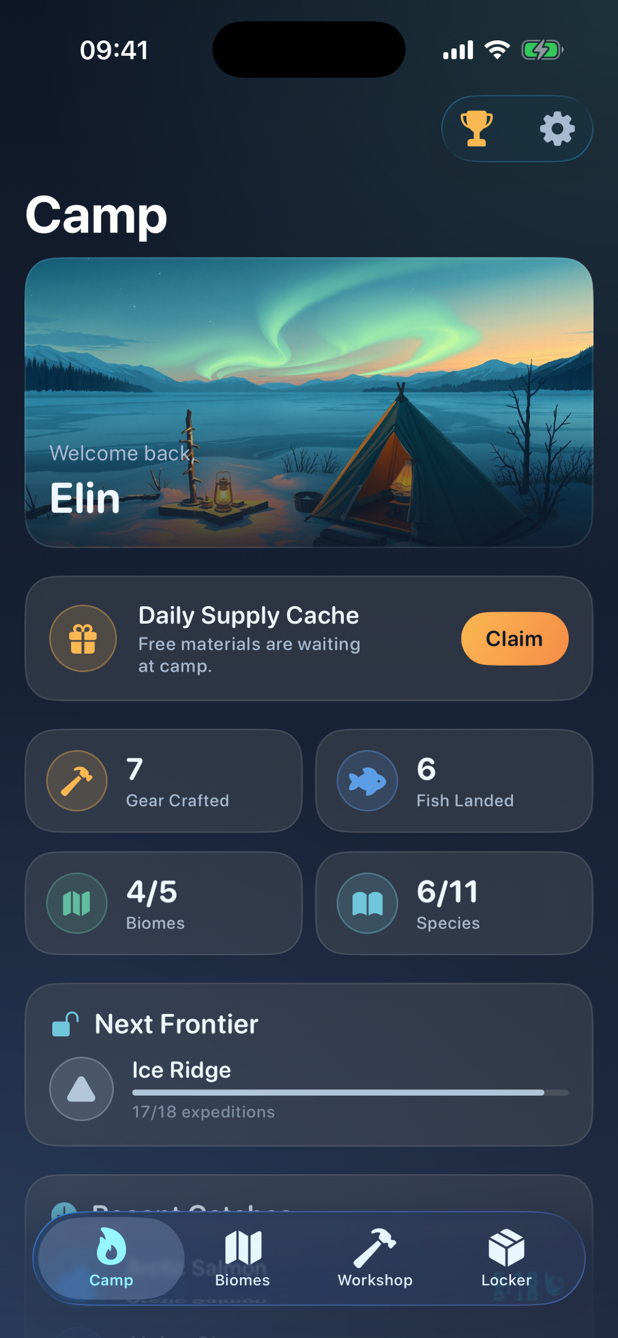 Camp dashboard